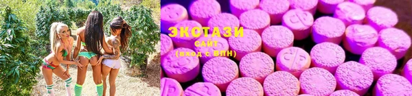 ГАЛЛЮЦИНОГЕННЫЕ ГРИБЫ Осташков